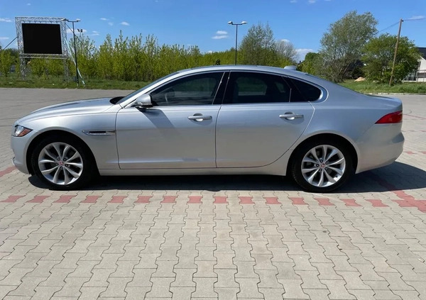 Jaguar XF cena 89000 przebieg: 93000, rok produkcji 2018 z Lubartów małe 781